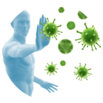 david stein heilpraktiker koblenz Staerkung des Immunsystems