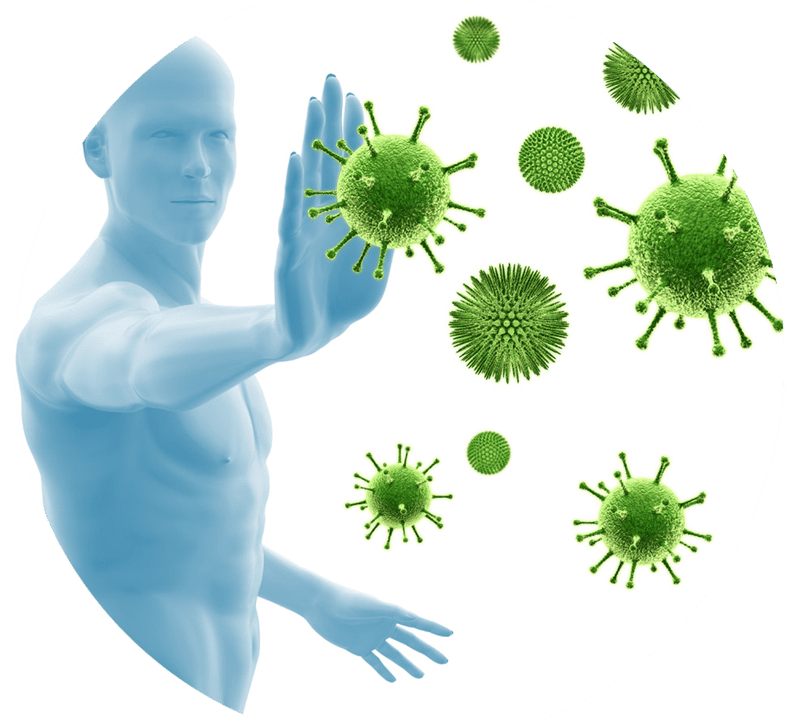 Stärkung des Immunsystems 1 david stein heilpraktiker koblenz Staerkung des Immunsystems